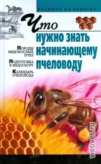 Что нужно знать начинающему пчеловоду