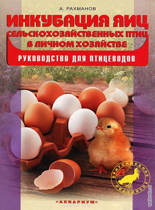 Инкубация яиц сельскохозяйственных птиц в личном хозяйстве