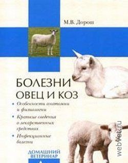 Болезни овец и коз