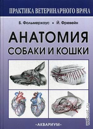 Анатомия собаки и кошки