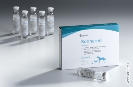 Бонхарен - Bonharen